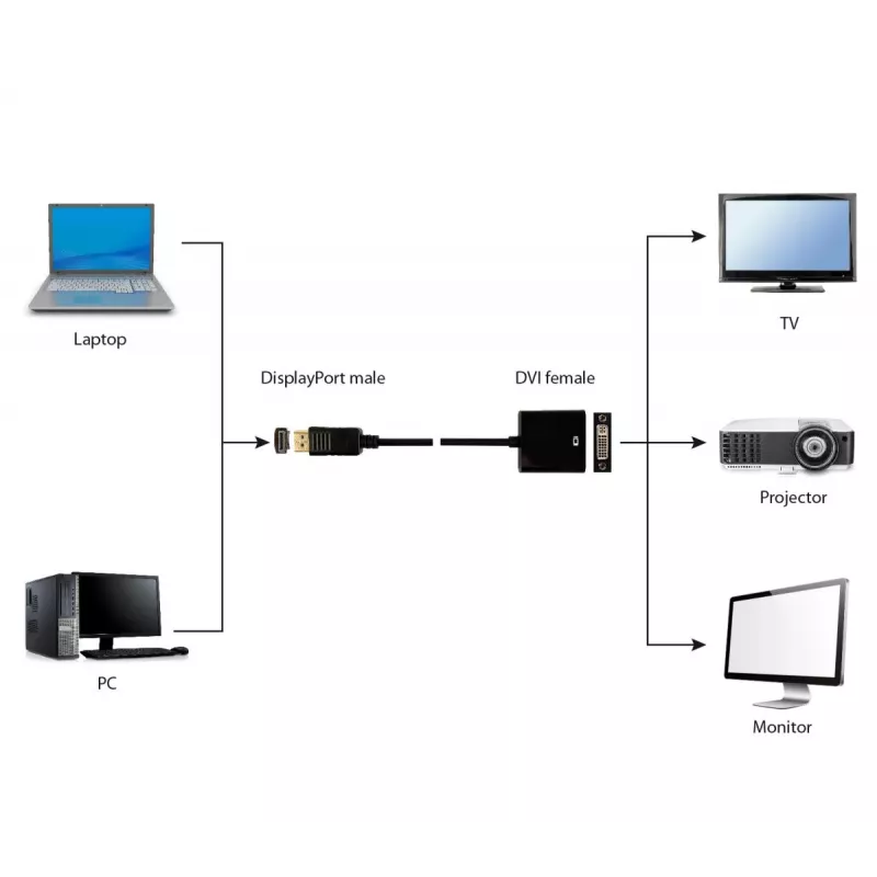 Cavo adattatore GEMBIRD DisplayPort a DVI – nero
