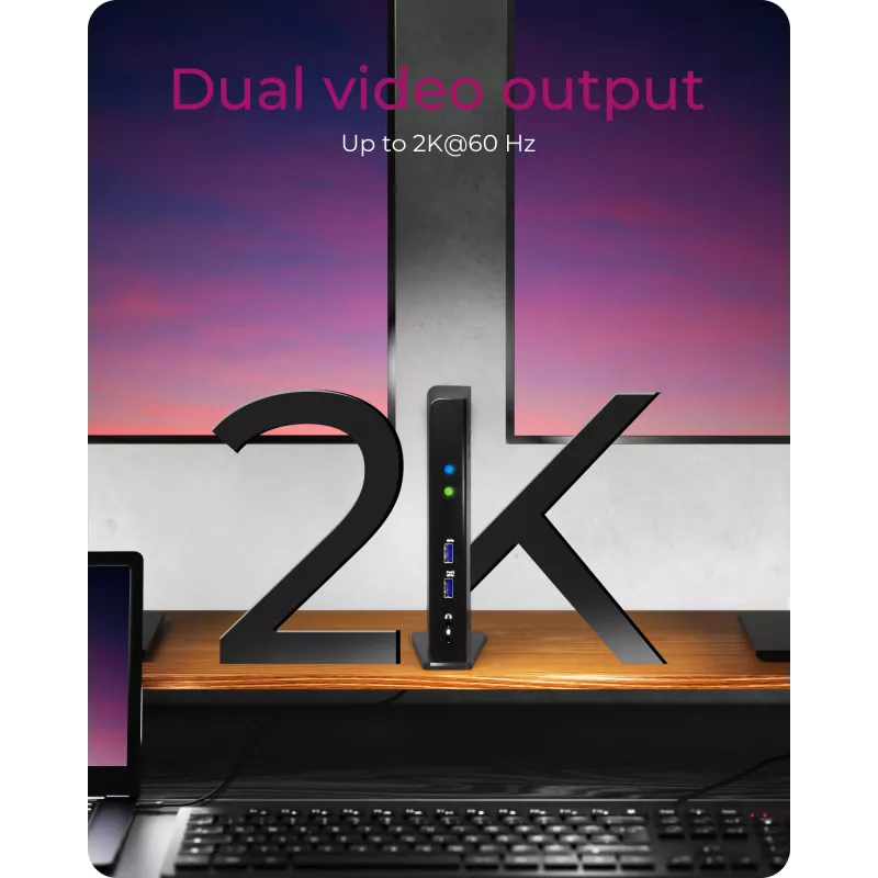 ICY BOX IB-DK2241AC Con filo USB 3.2 Gen 1 (3.1 Gen 1) Type-A nero