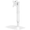 Techly ICA-LCD 260 supporto monitor / stand 68,6 cm (27 pollici) scrivania bianco