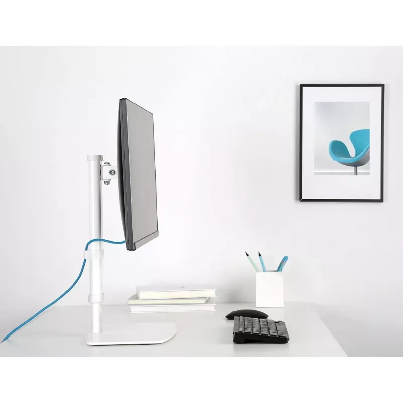 Techly ICA-LCD 260 supporto monitor / stand 68,6 cm (27 pollici) scrivania bianco