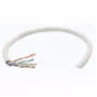 Cavo di rete bulk Cat6 Intellinet, 23 AWG, filo massiccio, 305 m, grigio, CCA, U/UTP, scatola