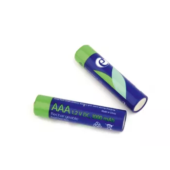 Batterie AAA GEMBIRD Ni-MH ricaricabili 1000mAh 2 pezzi
