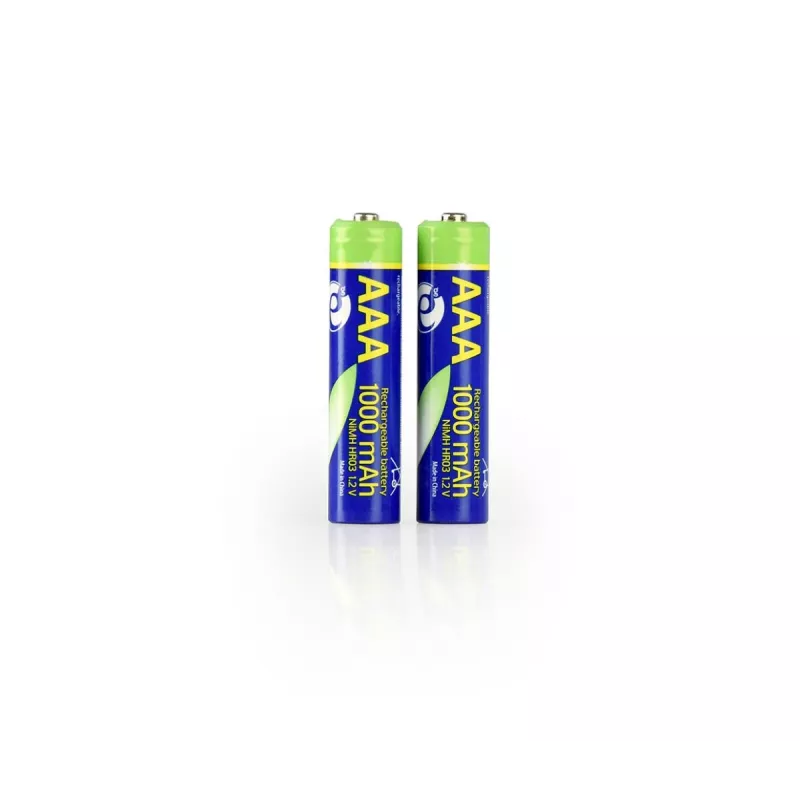 Batterie AAA GEMBIRD Ni-MH ricaricabili 1000mAh 2 pezzi