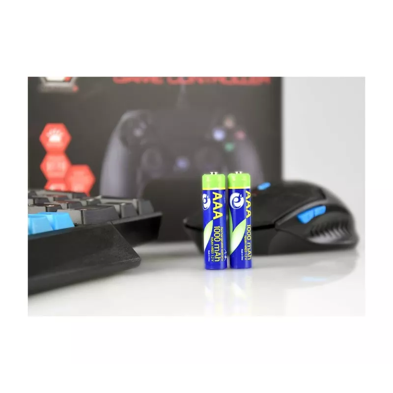 Batterie AAA GEMBIRD Ni-MH ricaricabili 1000mAh 2 pezzi