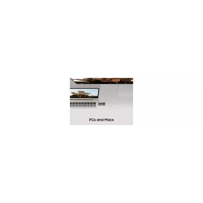 Samsung MUF-64BE unità flash USB 64 GB USB Type-A 3.2 Gen 1 (3.1 Gen 1) grigio