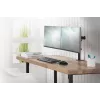 DIGITUS supporto universale a morsa per doppio monitor 17-32