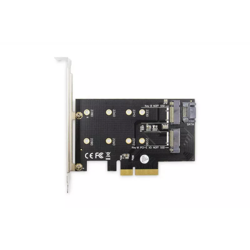 Scheda di espansione DIGITUS M.2 NGFF/NVMe SSD PCI-Express supporta chiavi B, M e B+M, dimensioni 80, 60, 42 e 30 mm