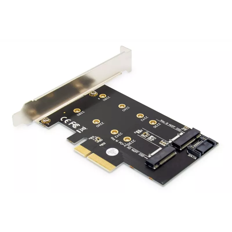 Scheda di espansione DIGITUS M.2 NGFF/NVMe SSD PCI-Express supporta chiavi B, M e B+M, dimensioni 80, 60, 42 e 30 mm