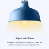 TP-Link Tapo Lampadina smart Wi-Fi, dimmerabile