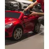 Batteria per UPS piombo-acido sigillato Green Cell AGM38