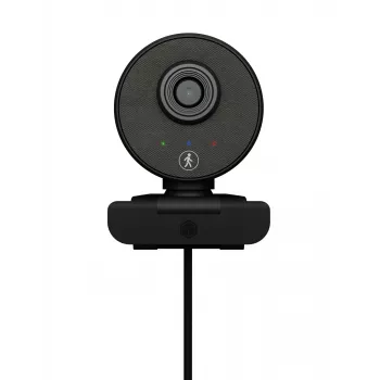 Webcam ICY BOX IB-CAM501-HD 1920 x 1080 Pixel USB 2.0 nero