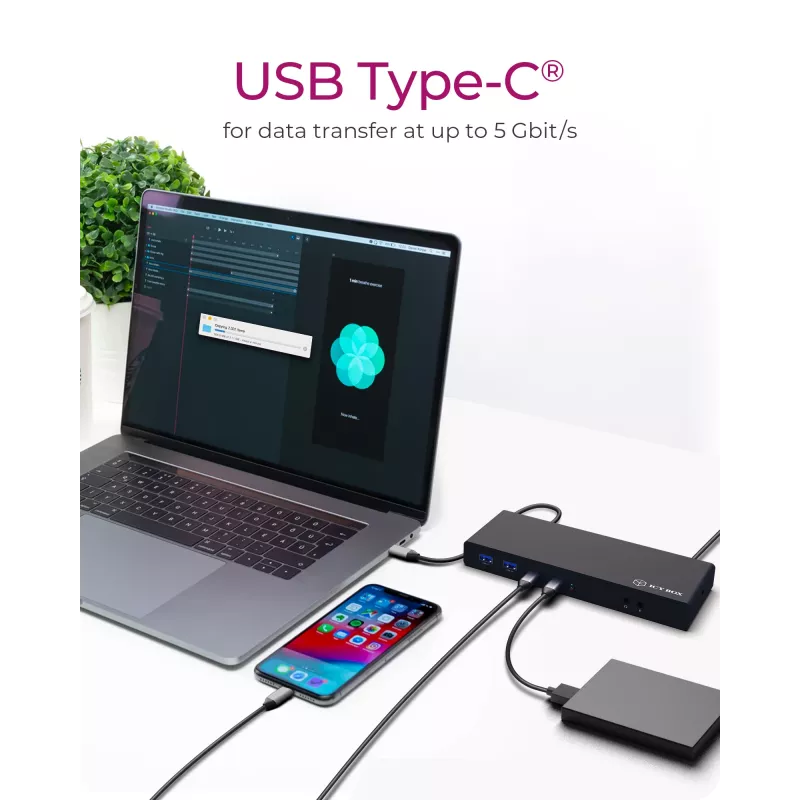 ICY BOX IB-DK2245AC cablato USB 3.2 Gen 1 (3.1 Gen 1) Type-C nero