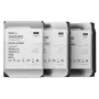 SYNOLOGY Disco fisso HAS530012T - 12TB - SAS 12Gb/s - 3,5 pollici - 7200 U/min