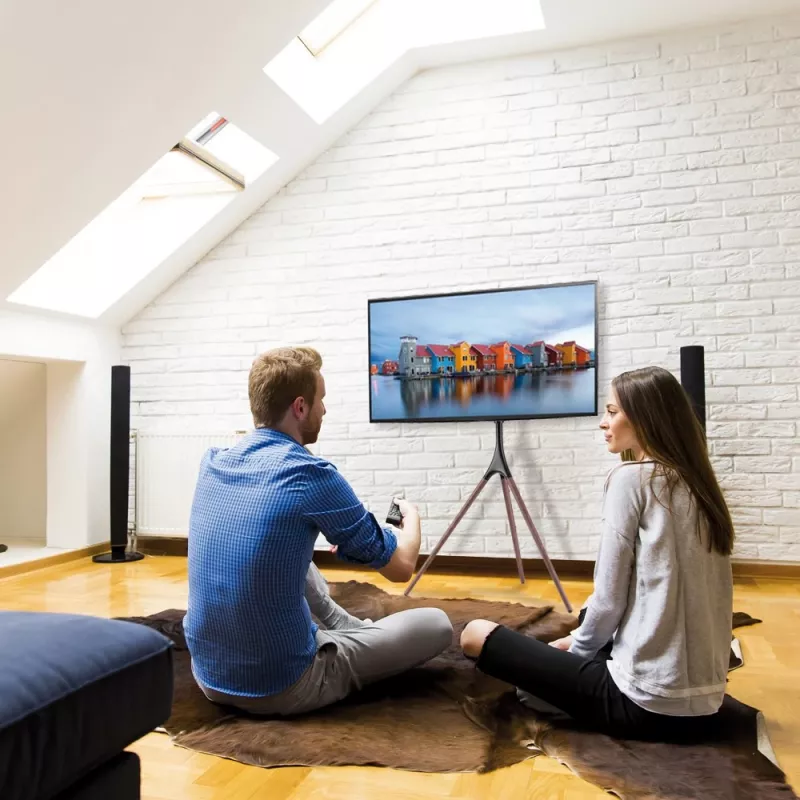 Supporto da terra per TV TECHLY ICA-TR18SAM per 45