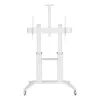Carrello/supporto multimediale Techly ICA-TR49W bianco per schermo piatto