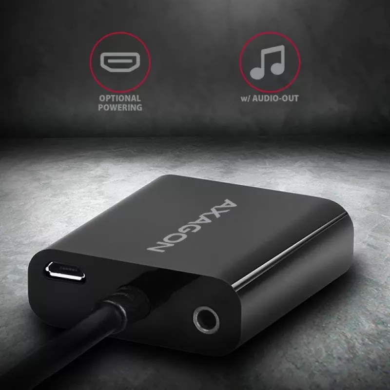 Axagon RVH-VGAN adattatore HDMI -> VGA FullHD, 1920x1200, uscita audio, alimentazione