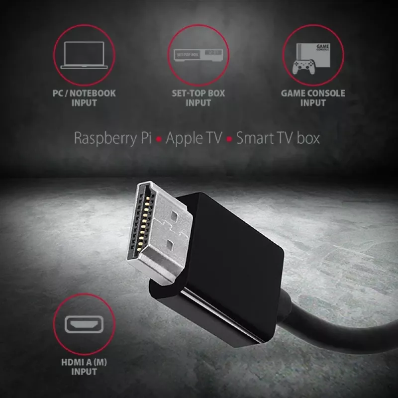 Axagon RVH-VGAN adattatore HDMI -> VGA FullHD, 1920x1200, uscita audio, alimentazione
