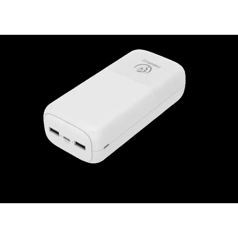 Caricabatterie portatile Powerbank P30 30.000 mAh