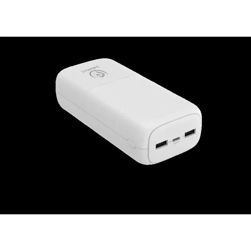 Caricabatterie portatile Powerbank P30 30.000 mAh