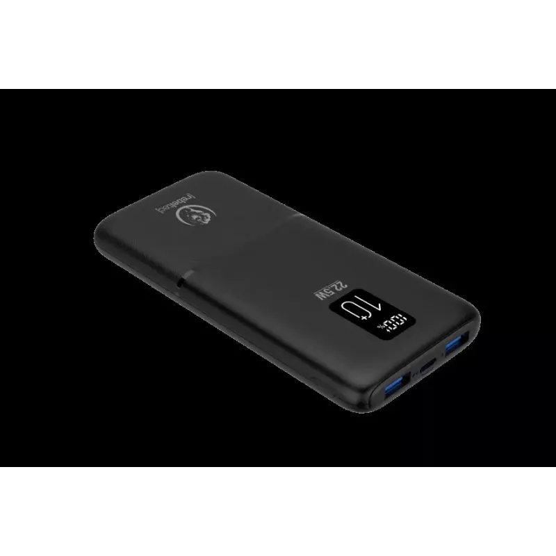 Powerbank portatile P10 LCDPD 10.000 mAh