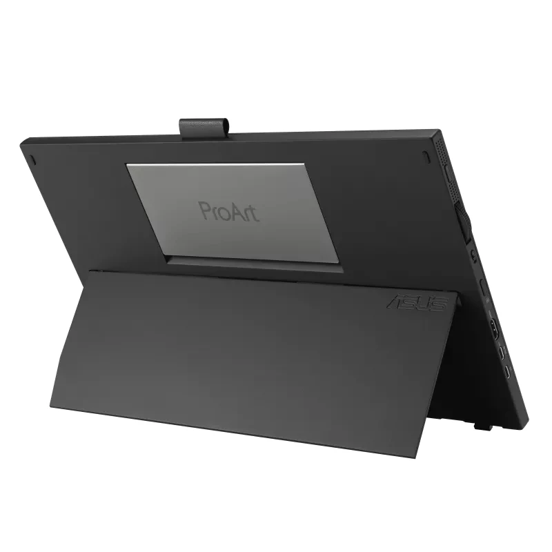 Monitor per computer ASUS ProArt PA169CDV 39,6 cm (15,6