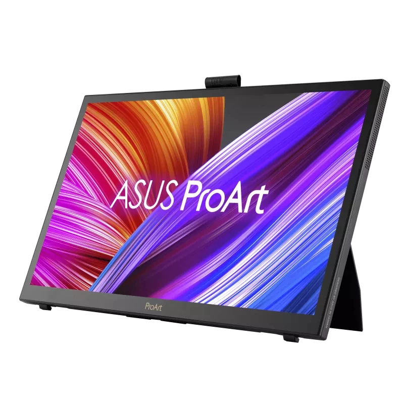 Monitor per computer ASUS ProArt PA169CDV 39,6 cm (15,6
