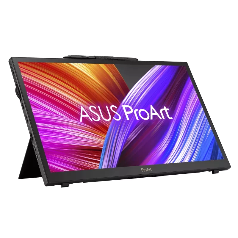Monitor per computer ASUS ProArt PA169CDV 39,6 cm (15,6