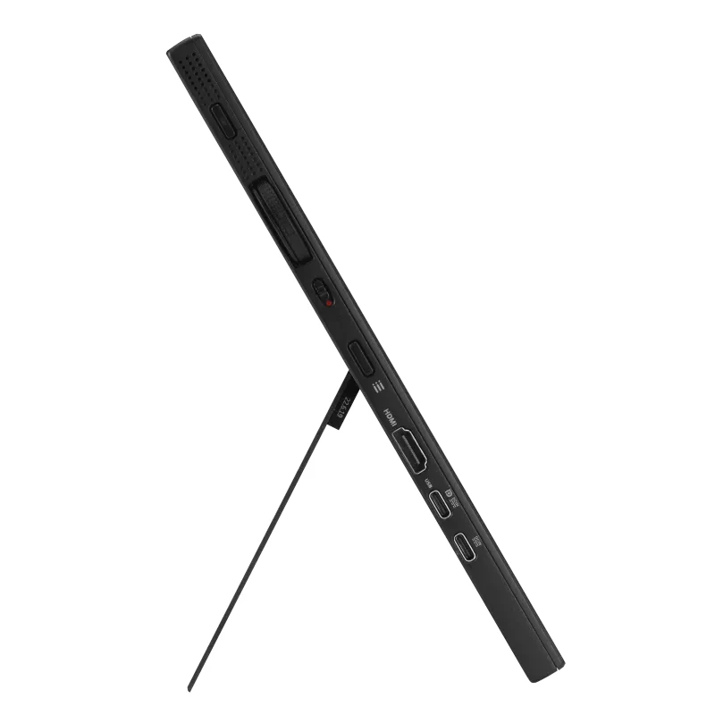 Monitor per computer ASUS ProArt PA169CDV 39,6 cm (15,6