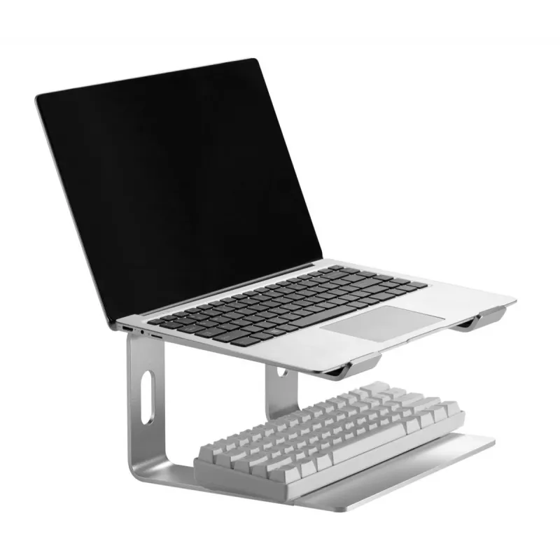 Supporto per laptop Gembird NBS-D1-01 alluminio argento per notebook fino a 39,6 cm (15,6