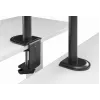 GEMBIRD Supporto da scrivania per un monitor, 17–32 pollici