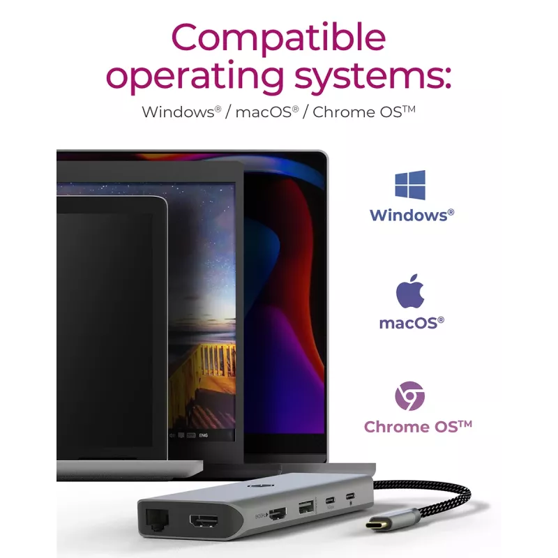 ICY BOX IB-DK4061-CPD Con cavo USB 3.2 Gen 1 (3.1 Gen 1) Type-C grigio