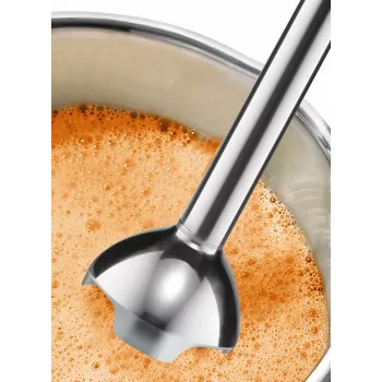 Bosch MSM24100 mixer frullatore a immersione 400 W acciaio inox, bianco