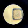 Microscopio didattico Liscianigiochi Im A Genius 304-PL97388 — set ottico per bambini con ingrandimento per imparare