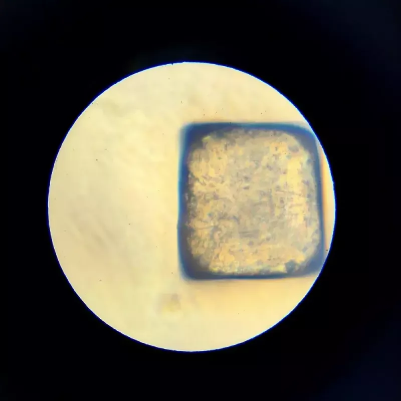 Microscopio didattico Liscianigiochi Im A Genius 304-PL97388 — set ottico per bambini con ingrandimento per imparare