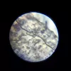 Microscopio didattico Liscianigiochi Im A Genius 304-PL97388 — set ottico per bambini con ingrandimento per imparare