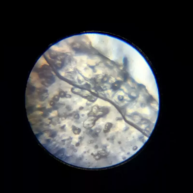 Microscopio didattico Liscianigiochi Im A Genius 304-PL97388 — set ottico per bambini con ingrandimento per imparare