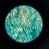 Microscopio didattico Liscianigiochi Im A Genius 304-PL97388 — set ottico per bambini con ingrandimento per imparare