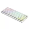 Tastiera gaming Savio Phenix WHITE GAT giallo USB Bluetooth QWERTY