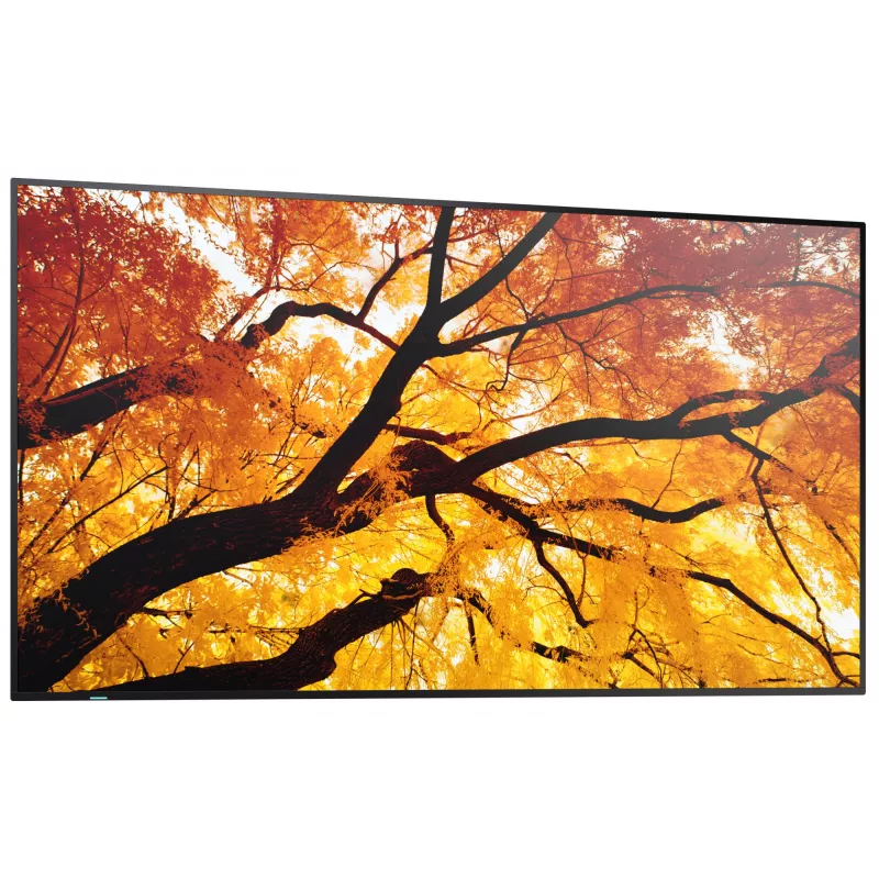 Sharp MultiSync M552 Digital Signage schermo piatto 139.7 cm (55
