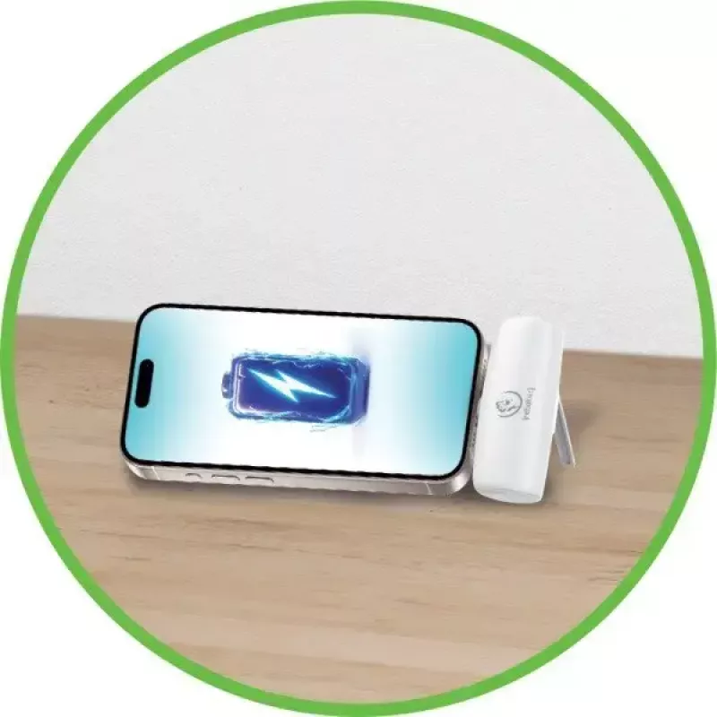 Powerbank portatile P5 PLUG-IN 5000mAh