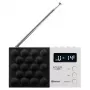 Radio digitale Adler AD 1908 PLL AM/FM con funzione sveglia