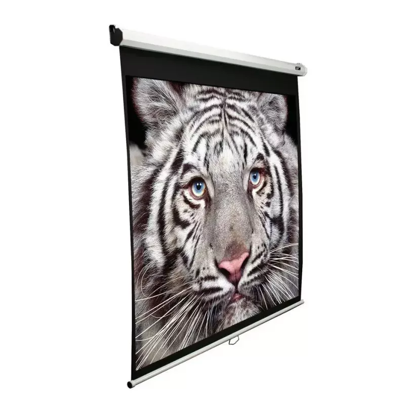 Schermo per proiezione Elite Screens M99NWS1