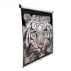 Superficie per proiezione Elite Screens M80NWV 2,03 m (80