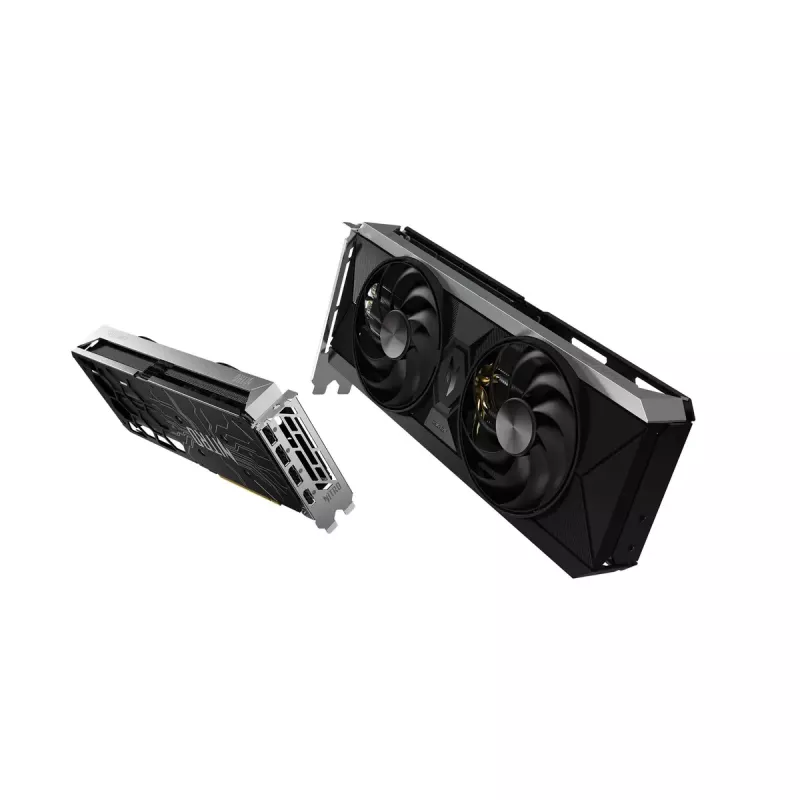 Scheda grafica Intel Arc B570 10 GB GDDR6