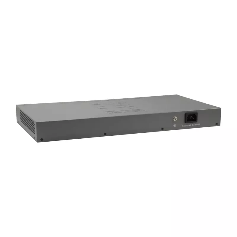 Switch Fast Ethernet LevelOne 50 porte, 2 x Gigabit SFP/RJ45 combo