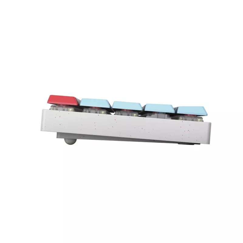 CHERRY MX-LP 2.1 Compact Wireless Tastiera gaming RF Wireless + Bluetooth QWERTZ tedesco bianco