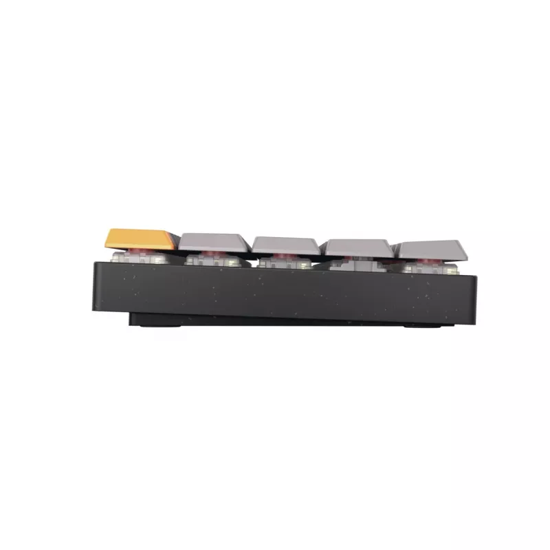 CHERRY MX-LP 2.1 Compact Wireless Tastiera gaming RF Wireless + Bluetooth QWERTZ tedesco nero