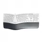 CHERRY KC 4500 ERGO Tastiera universale USB QWERTZ tedesco bianco