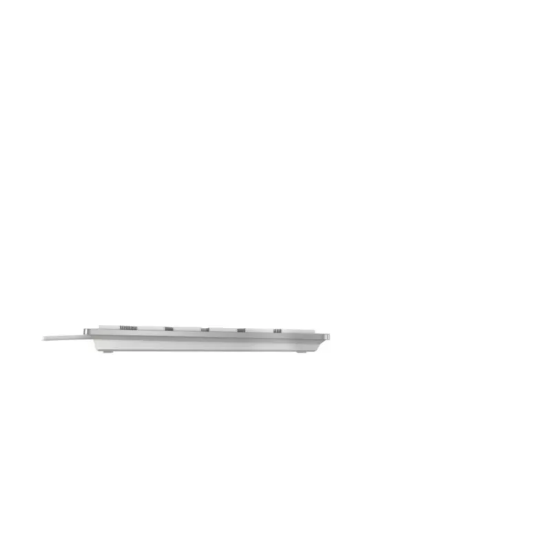 CHERRY KC 6000C FOR MAC Tastiera universale USB QWERTZ tedesco argento
