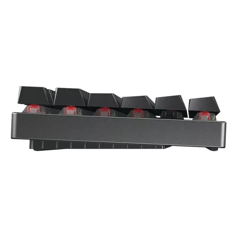 Tastiera da gaming CHERRY MX 8.2 TKL Wireless RGB USB + RF wireless + Bluetooth QWERTZ tedesca nera
